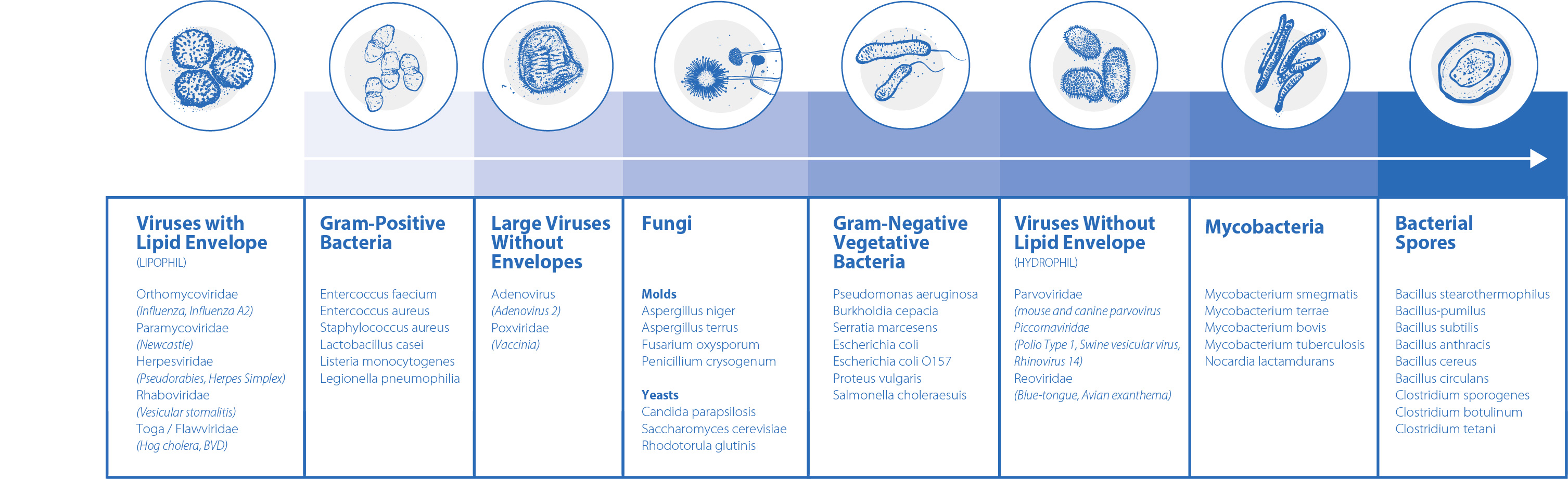 Graphical representation of: Viruses with lipid envelope, Gram positive bacteria, Large viruses without envelope, Fungi, Gram negative vegetative bacteria, Viruses without lipid envelope, Mycobacteria and Bacterial spores.